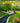 Landscape Fabric